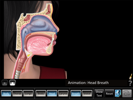 Screenshot #5 pour Respiration ID