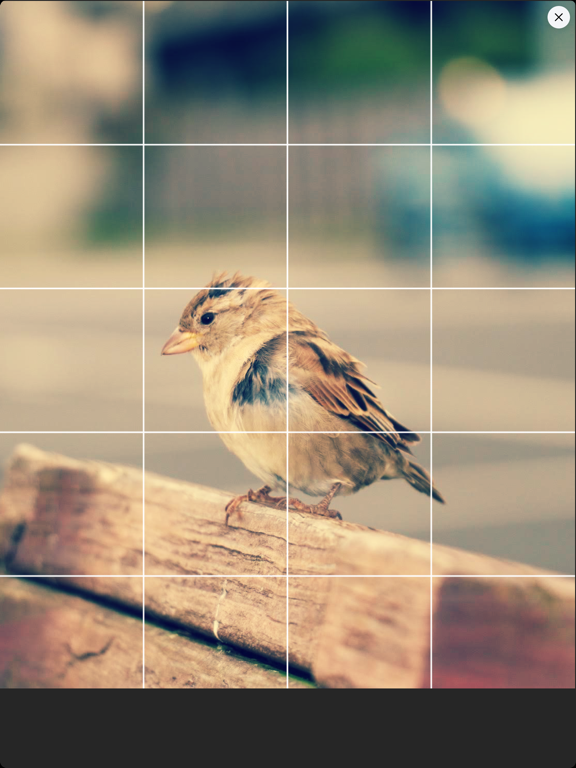 DrawinGrid iPad screenshot 4 - Photo & Video app