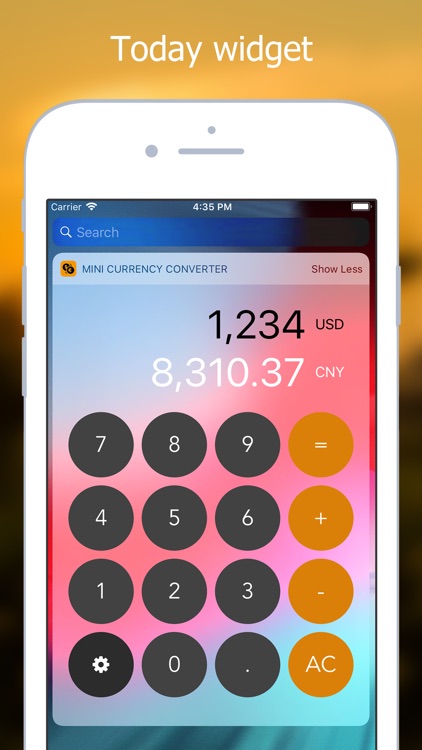 Mini Currency Converter