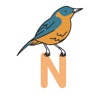 Nightingale Staffing Solution icon