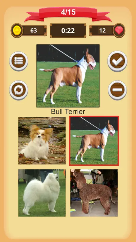 Dogs - Quiz