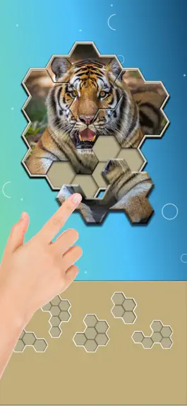 Game screenshot Jigsaw Hexa Block hack