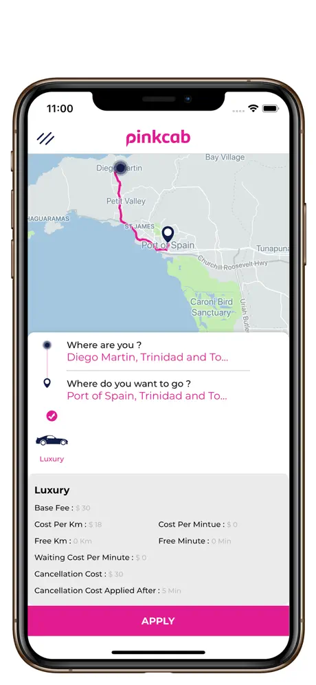 PinkCab Passenger