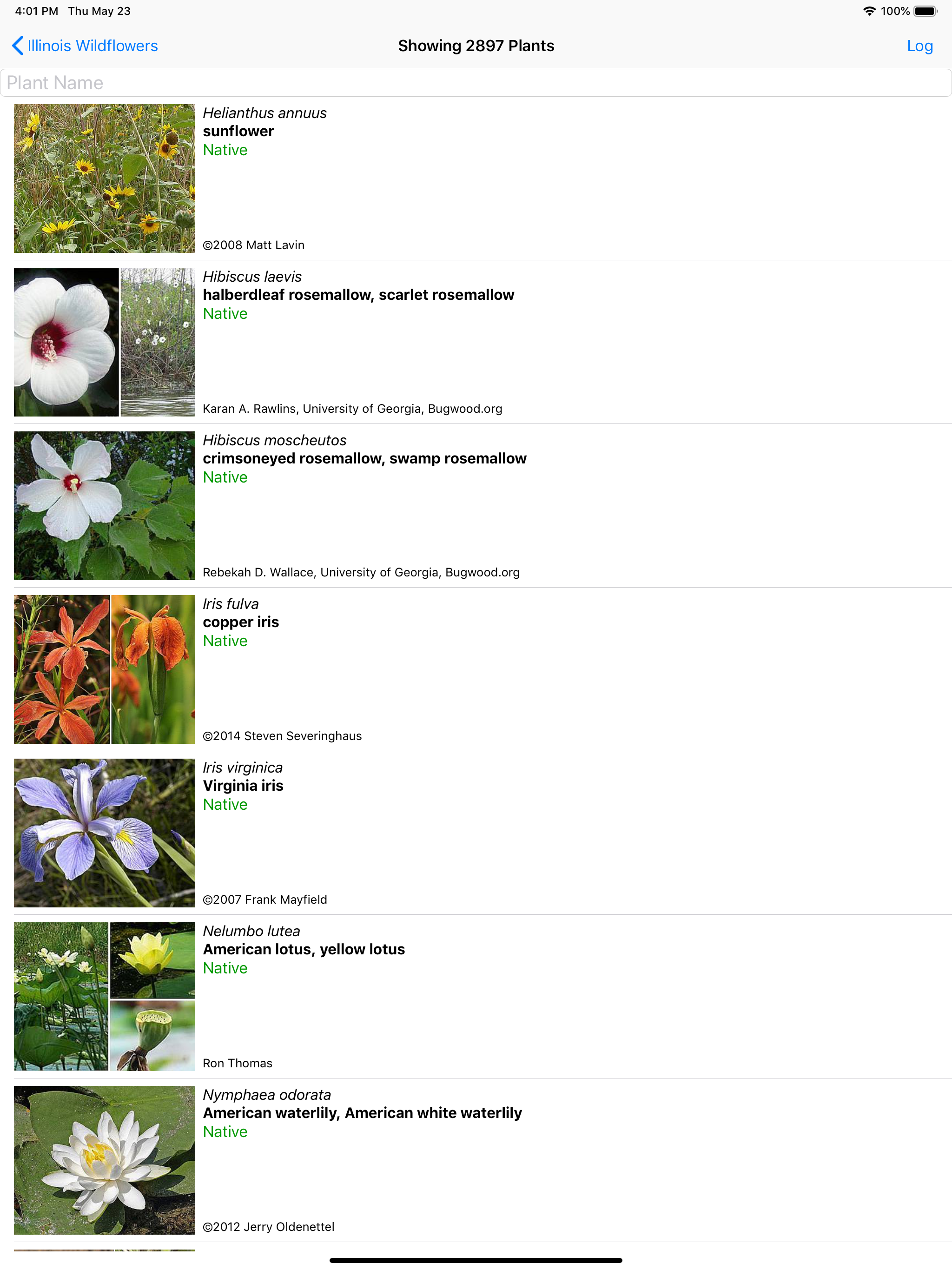 Illinois Wildflowers