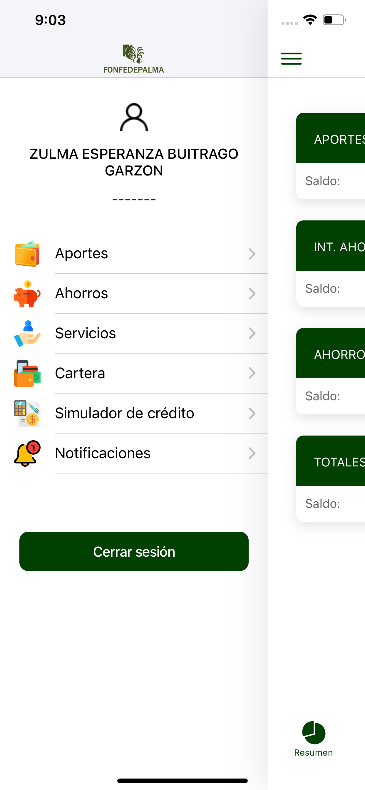 Fonfedepalma screenshot 7