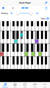Musk MIDI Player screenshot