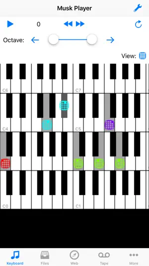 Musk MIDI Player screenshot 1