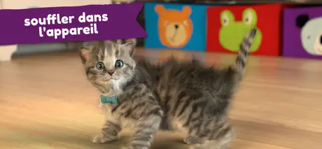 Chaton Mignon: Jeux de chat 3D