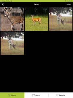 SME Spot Shot iPad image 4