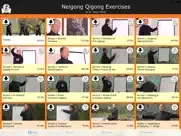 neigong qigong exercises ipad images 1