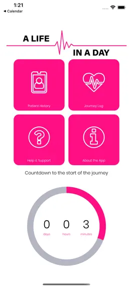 Game screenshot A Life in a Day mod apk