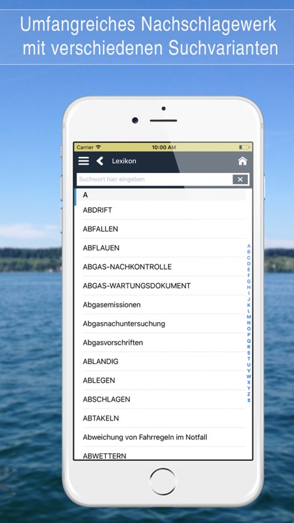 Bootsmanöver Aussenbordmotor screenshot-8
