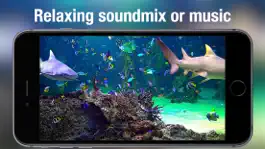 Game screenshot Aquarium Live - Real Fish Tank hack