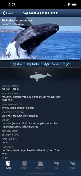 Game screenshot WhaleGuide for iPhone apk