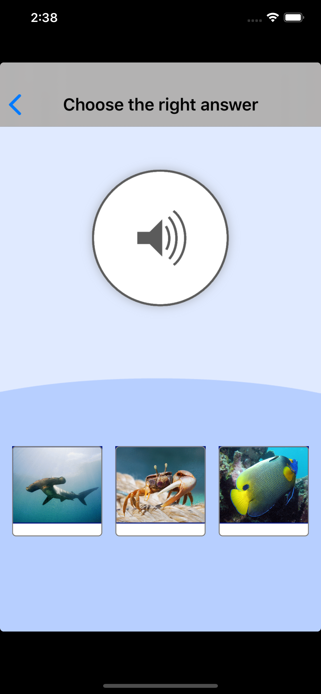 Sea Animals. Learning Cards