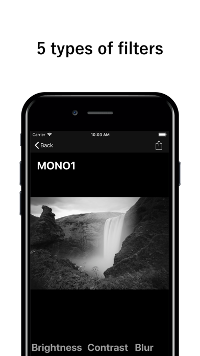 Screenshot #2 pour Mono Cam - B&W photo App