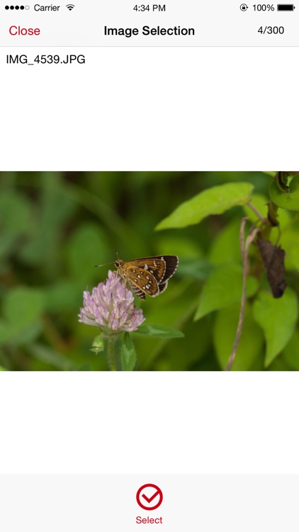 Noritsu Wifi Print order screenshot-3