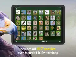 All birds CH - photo guide iPad image 3