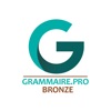 Grammaire.Pro Bronze