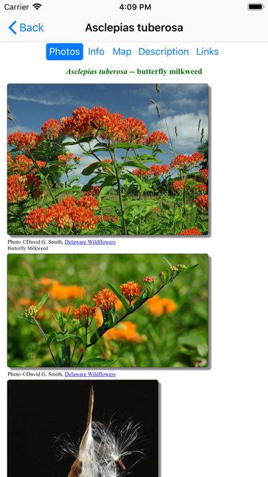 Mississippi Wildflowers Screenshot