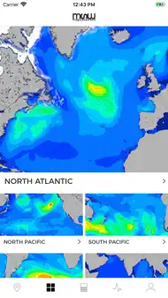 MSW Surf Forecast iphone bilder 3