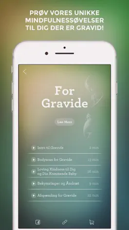 Game screenshot Mindfulness På Dansk hack