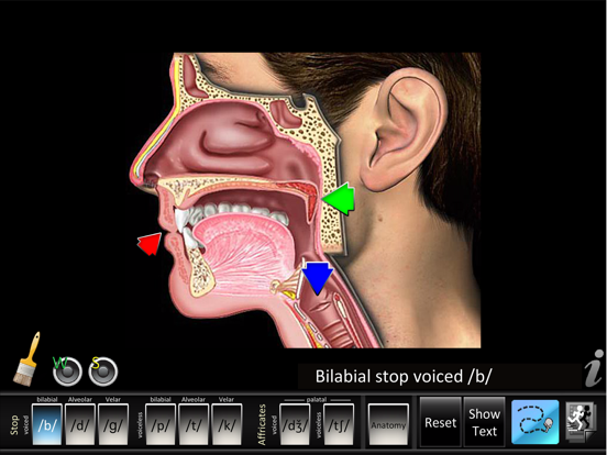 Screenshot #4 pour Affricates Stops