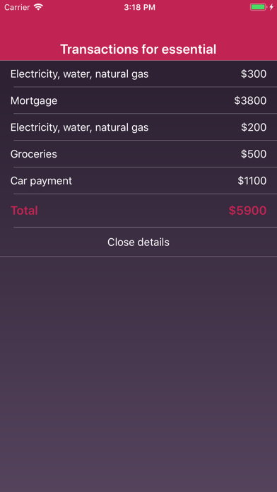 Budgetina iPhone screenshot 9 - Finance app