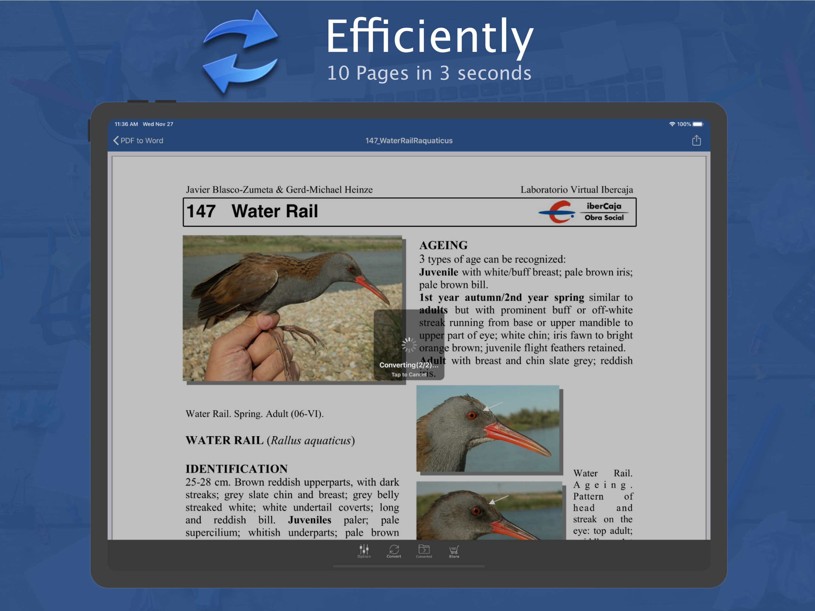 PDF to Word by Flyingbee