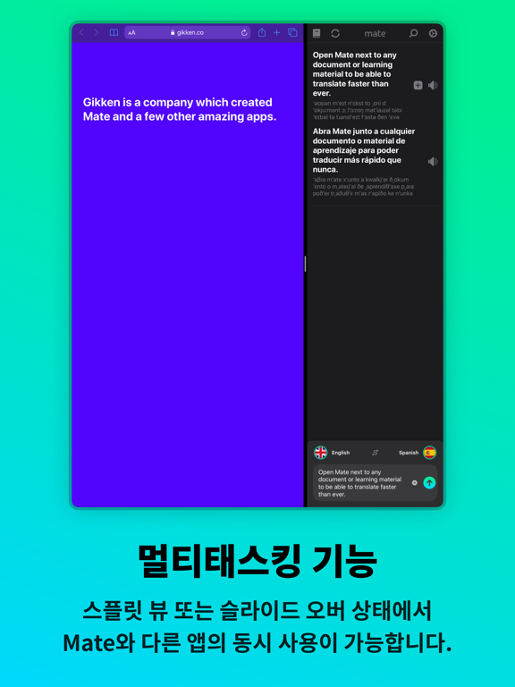 메이트 - 번역기 및 사전 iPad screenshot 10