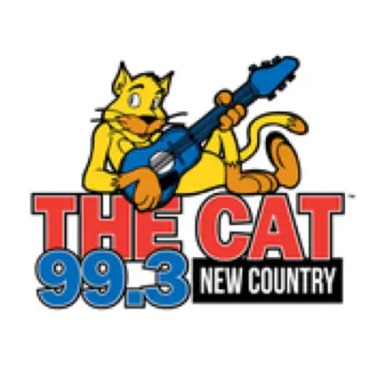 99.3 The Cat (WWKT FM) Cheats