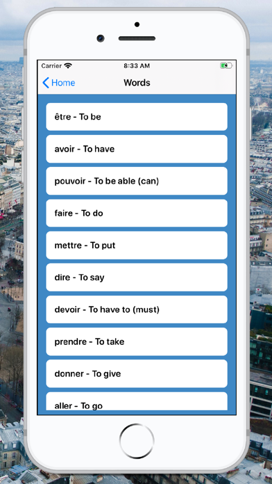 French Verb Quiz screenshot 3