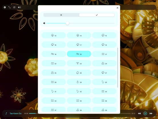 Screenshot #6 pour Musique Orientale: Expérience