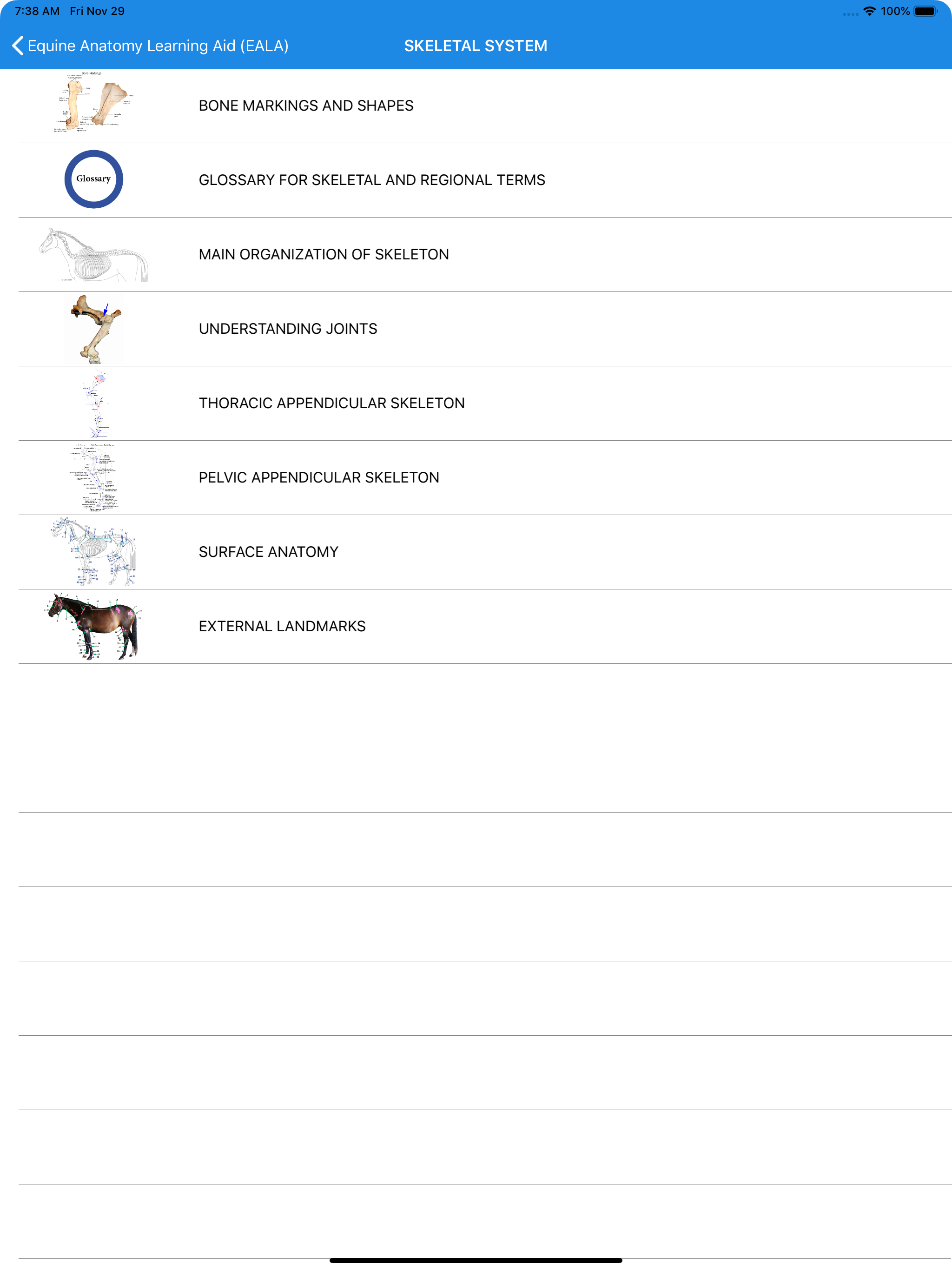 Equine Anatomy Learning Aid