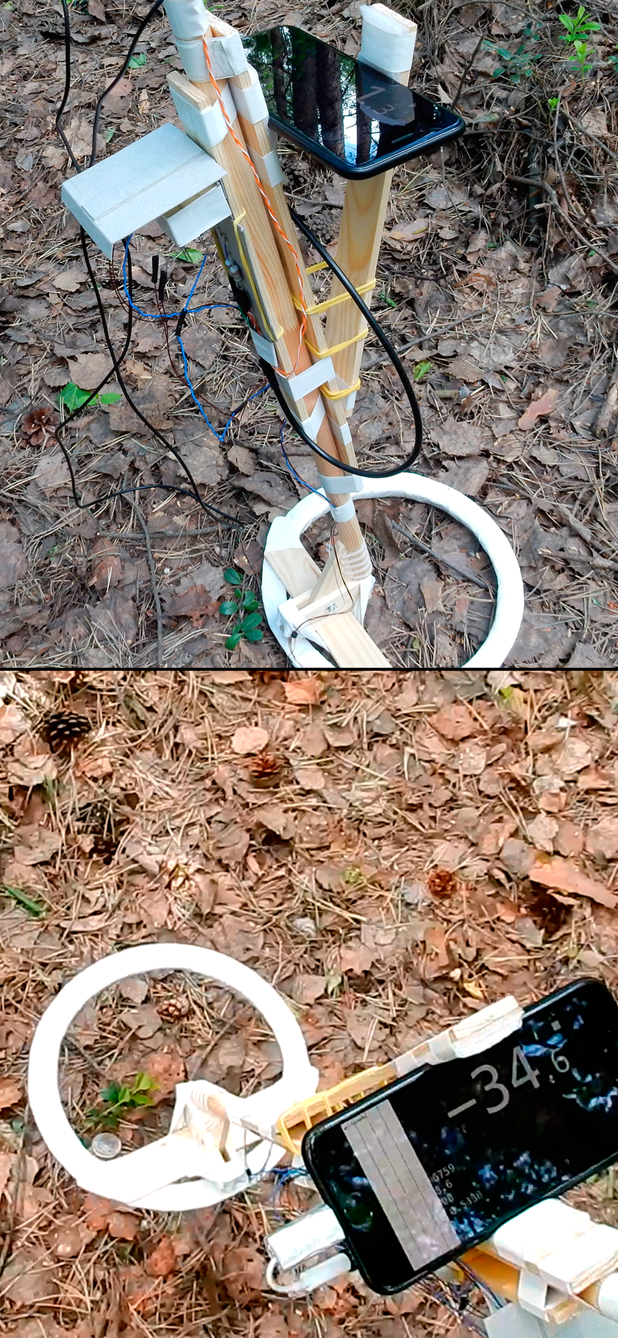 DIY Metal Detector (Au,Ag,Fe)