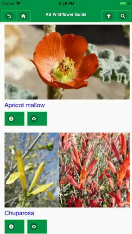 Game screenshot Anza-Borrego Wildflowers Lite mod apk