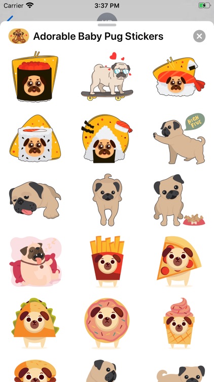 Adorable Baby Pug Stickers