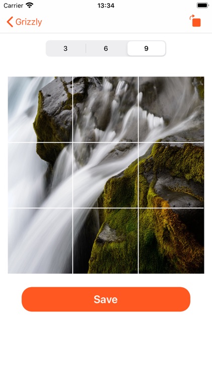 Grizzly - Split Photo