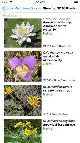 Game screenshot Idaho Wildflower Search apk