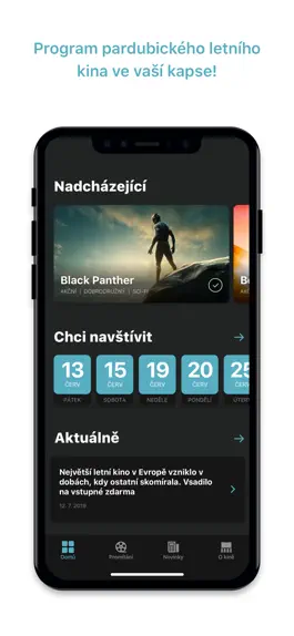 Game screenshot Pardubické letní kino mod apk