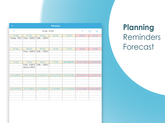 Budget Expense Tracker|Manager iPad screenshot 8 - Finance app