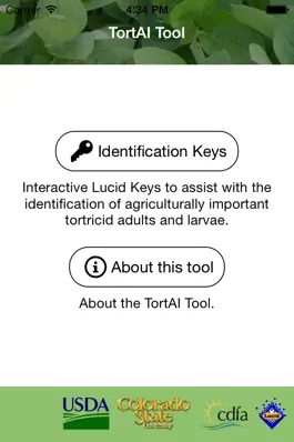 Game screenshot TortAI Key apk