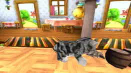 kitten cat vs rat runner game iphone screenshot 3