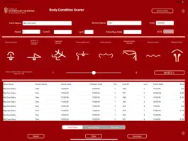 Game screenshot Body Condition Scorer mod apk