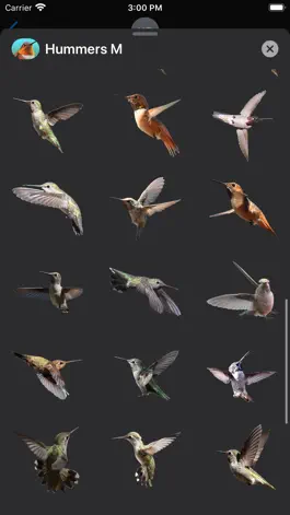 Game screenshot Hummingbirds - Medium (Retina) hack