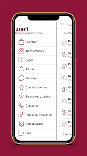 ADAP en Línea screenshot 4