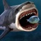 You are the King of the Fish Tank
