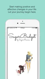 sugar budget iphone screenshot 1