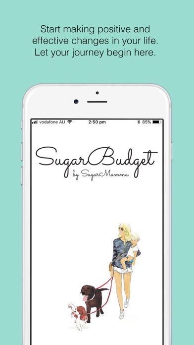 Sugar Budget Screenshot
