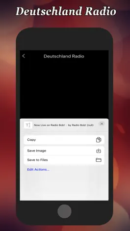 Game screenshot Radio Deutschland FM hack